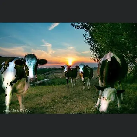 Roederhaus Bed & Breakfast