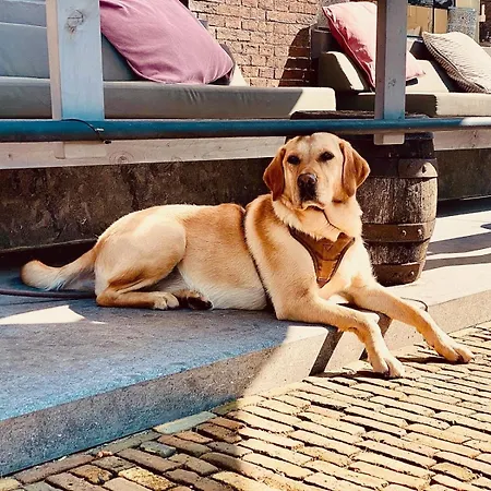 Bed & Breakfast Roederhaus 3*