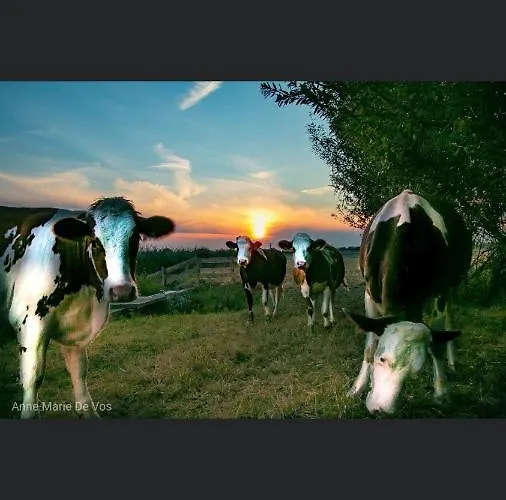 Roederhaus ベッド・アンド・ブレックファスト