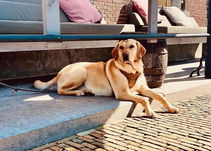 ベッド・アンド・ブレックファスト Roederhaus 3*