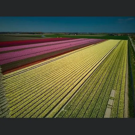 ベッド・アンド・ブレックファスト Roederhaus