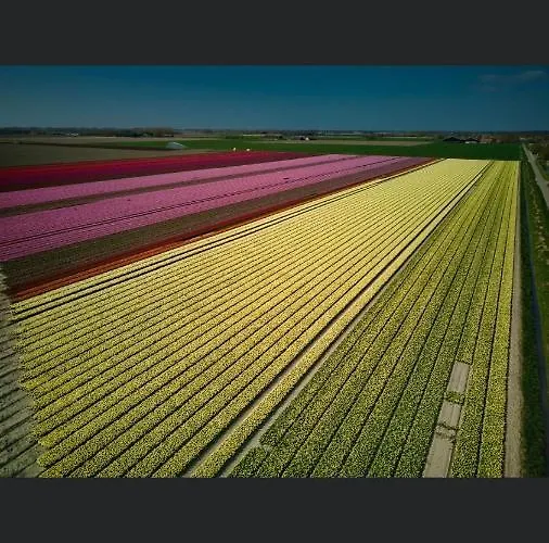 Bed & Breakfast Roederhaus