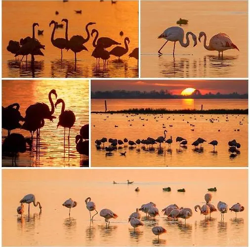 Roederhaus Bed & Breakfast Goedereede